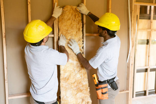 Best Home Insulation Services  in Puget Island, WA