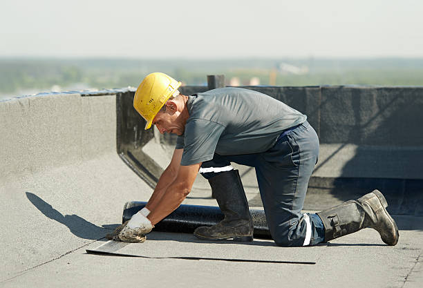 Best Insulation Removal  in Puget Island, WA